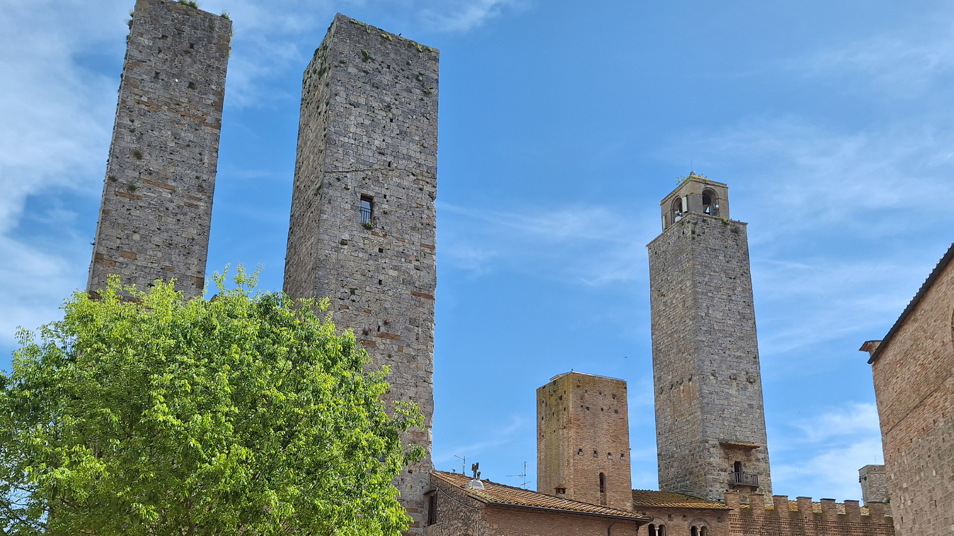 via frangicena