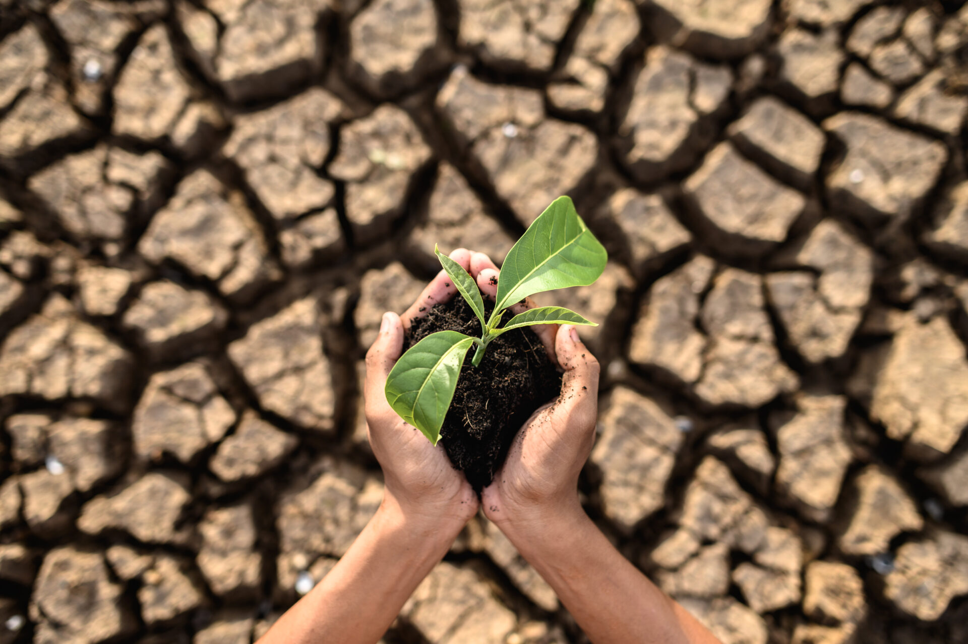 cambiamento climatico